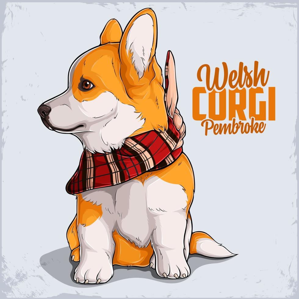 Cute dog breed Welsh Corgi Pembroke puppy in full length wearing Red Plaid Bandana vector