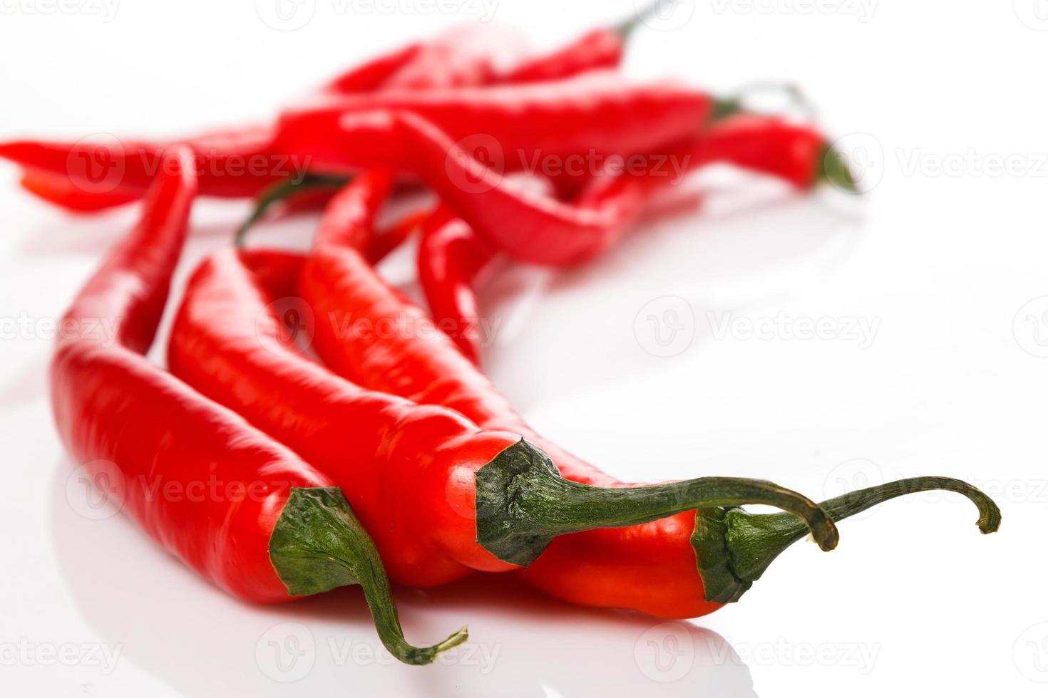 Red chili pepper photo