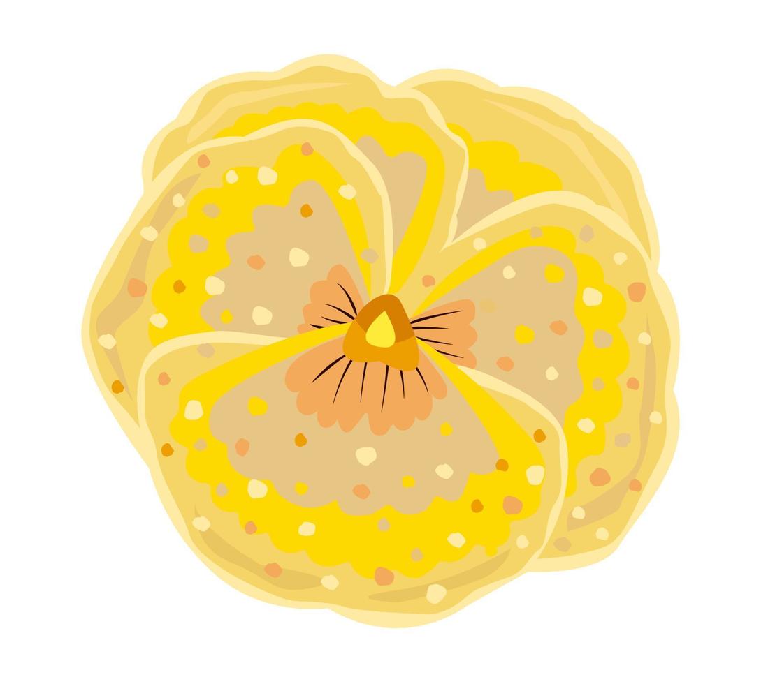 Yellow and beige bud of pansy flower vector