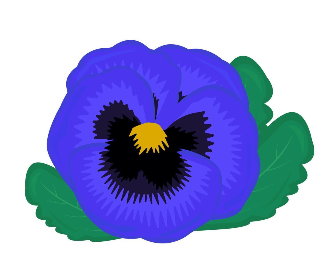 Single blue pansy with leaves vector