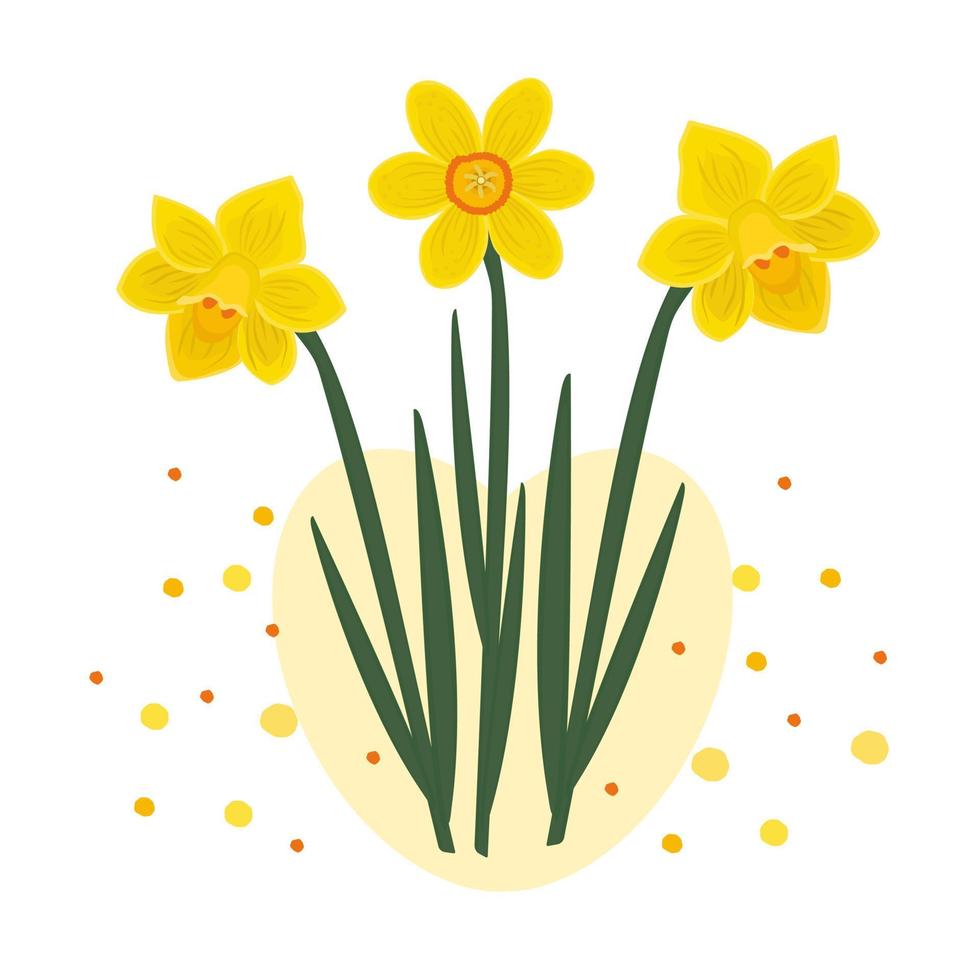 Composition of three daffodils vector