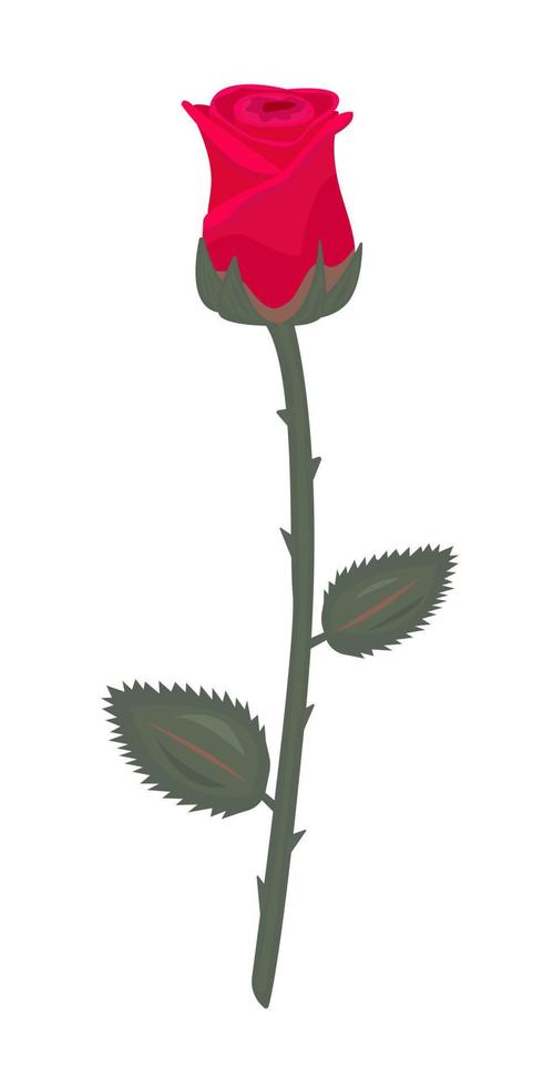 Single red rose with stem and leaves vector