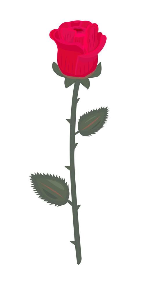 Single red rose with leaves vector