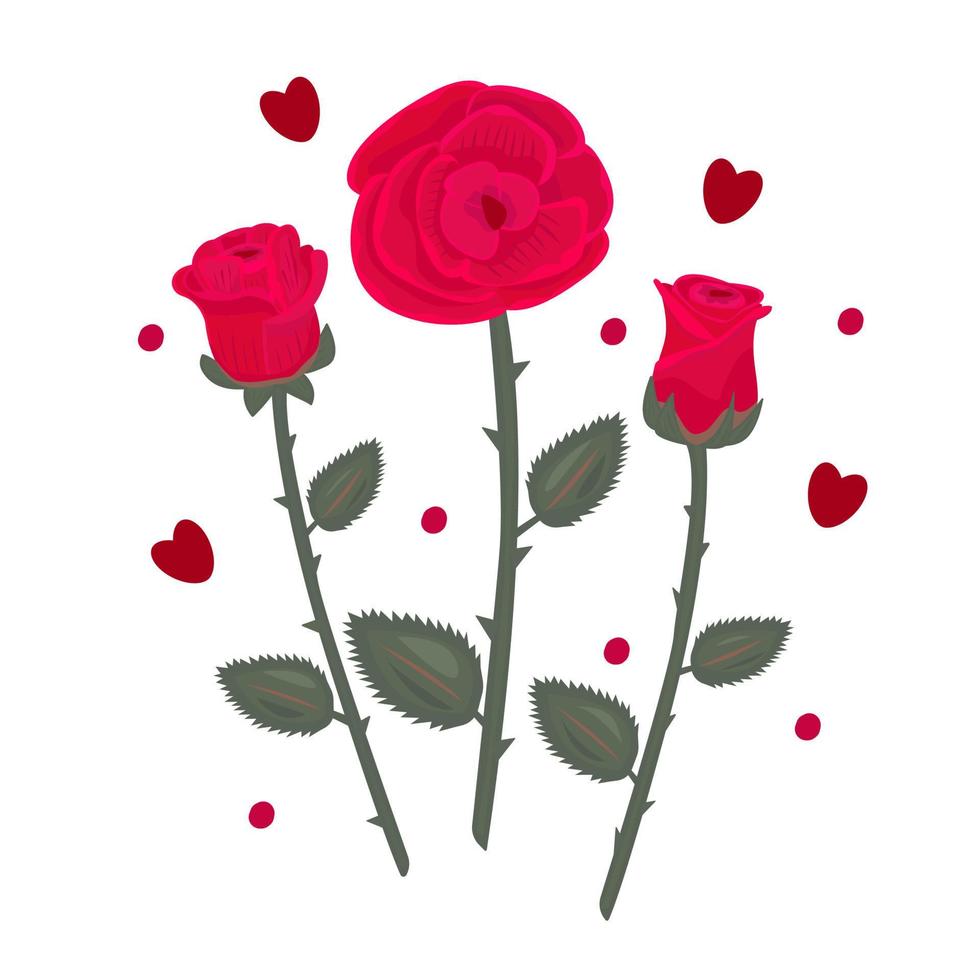 Composition of three red roses vector