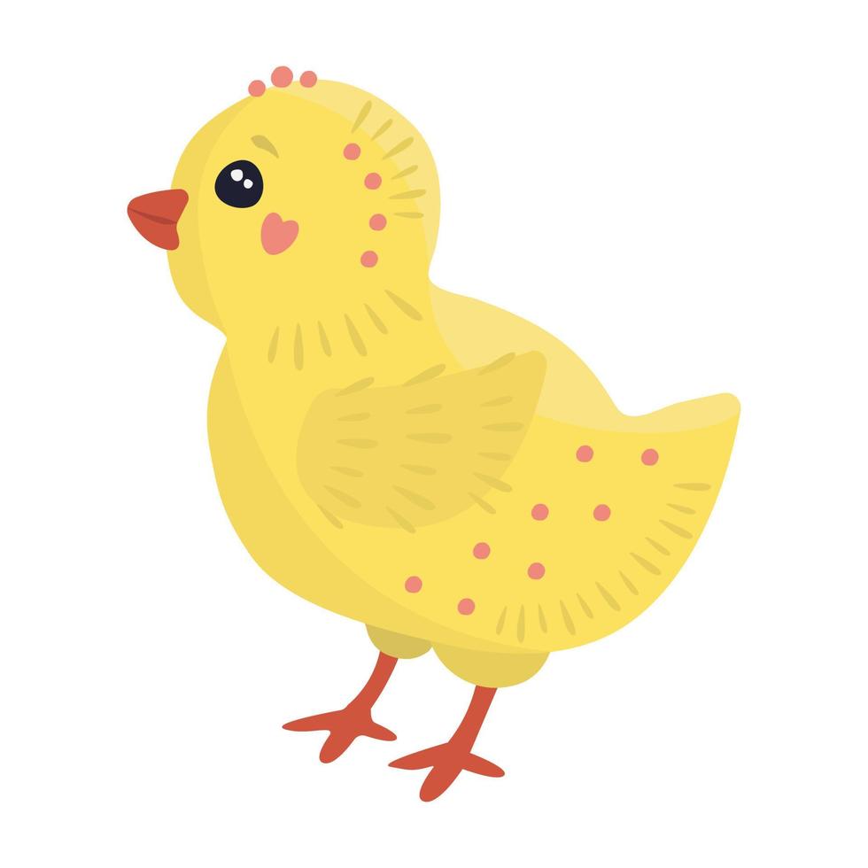 lindo pollito, ilustración vector