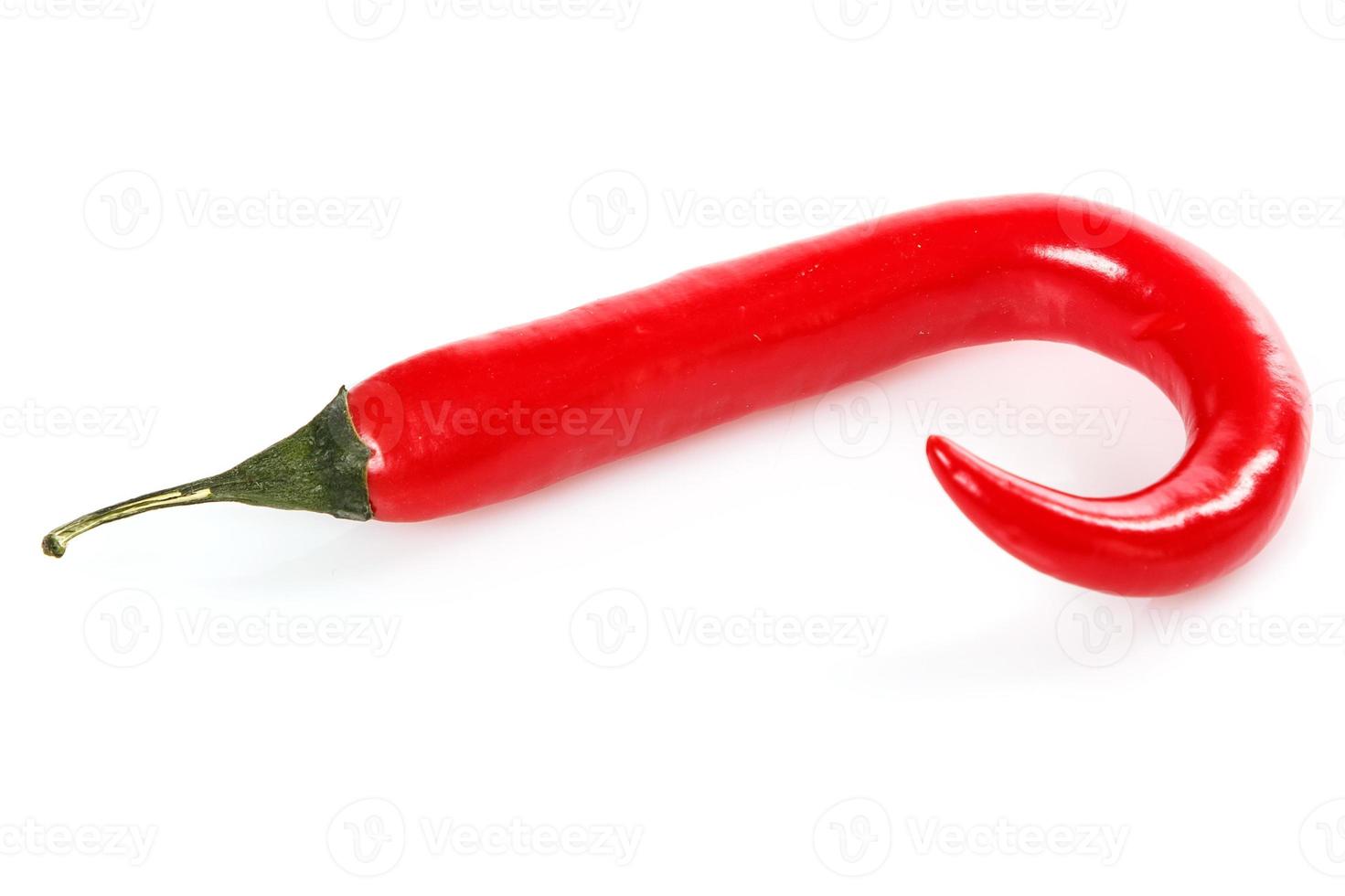 Red chili pepper photo