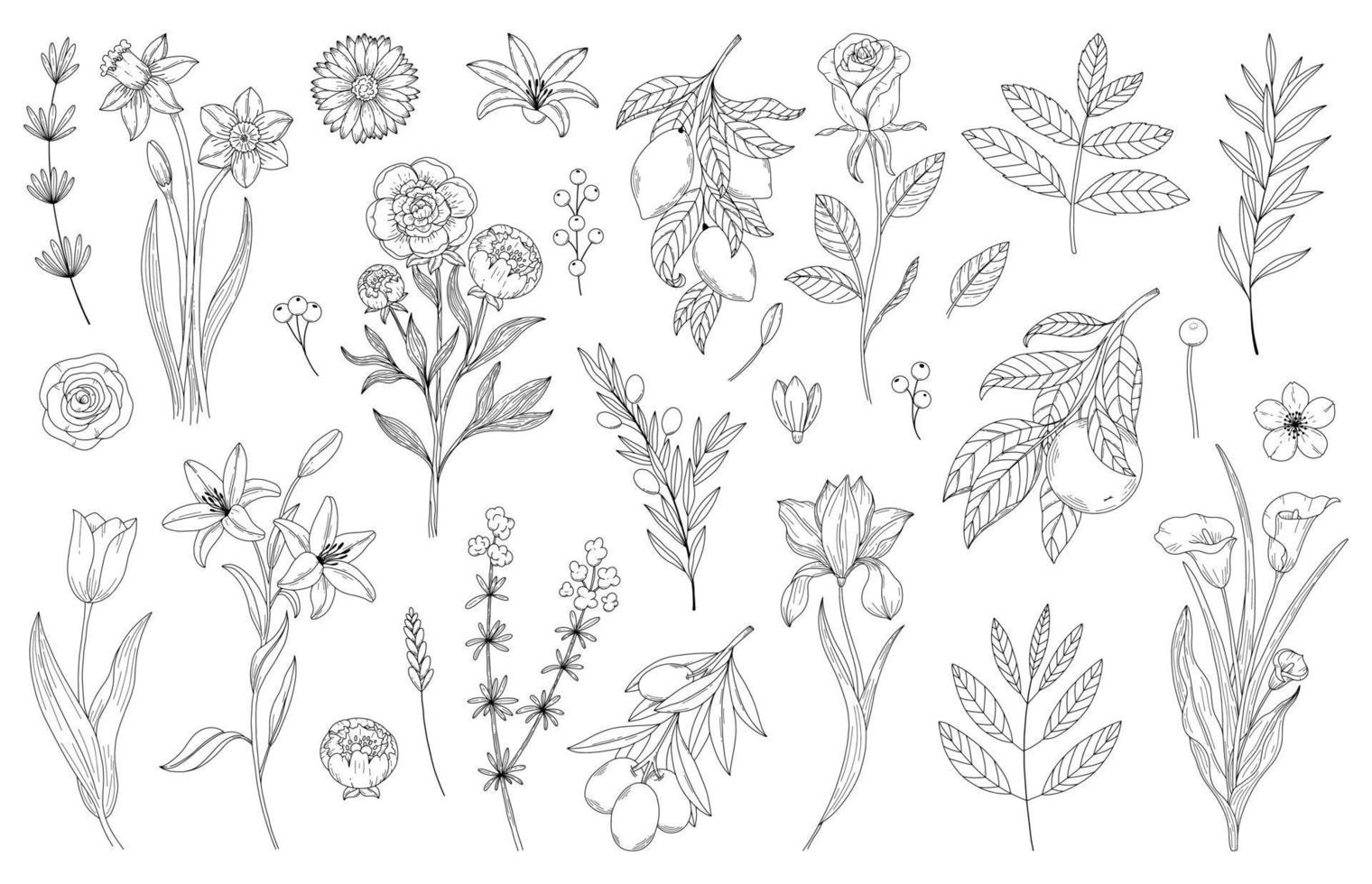 establecer una línea elegante abstracta de flores y hojas. silueta de arte de línea boho continua de ilustraciones florales vector