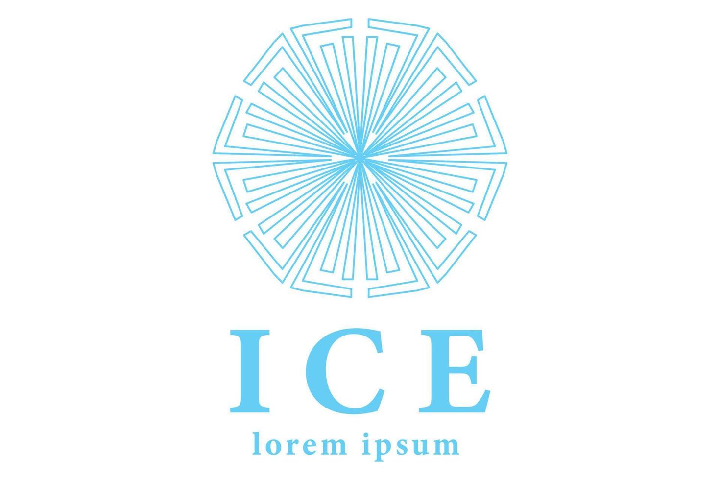 Crystal Ice Logo Icon Design vector