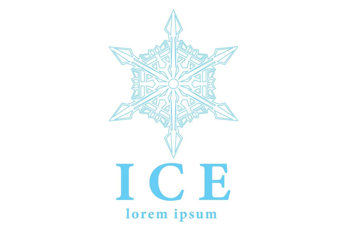 Crystal Ice Logo Icon Design vector