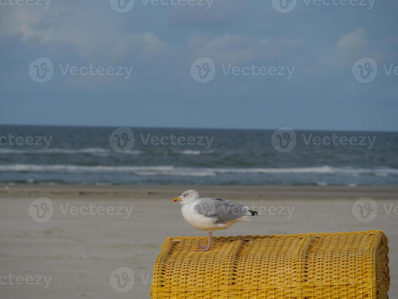 the beach of german island Juist photo