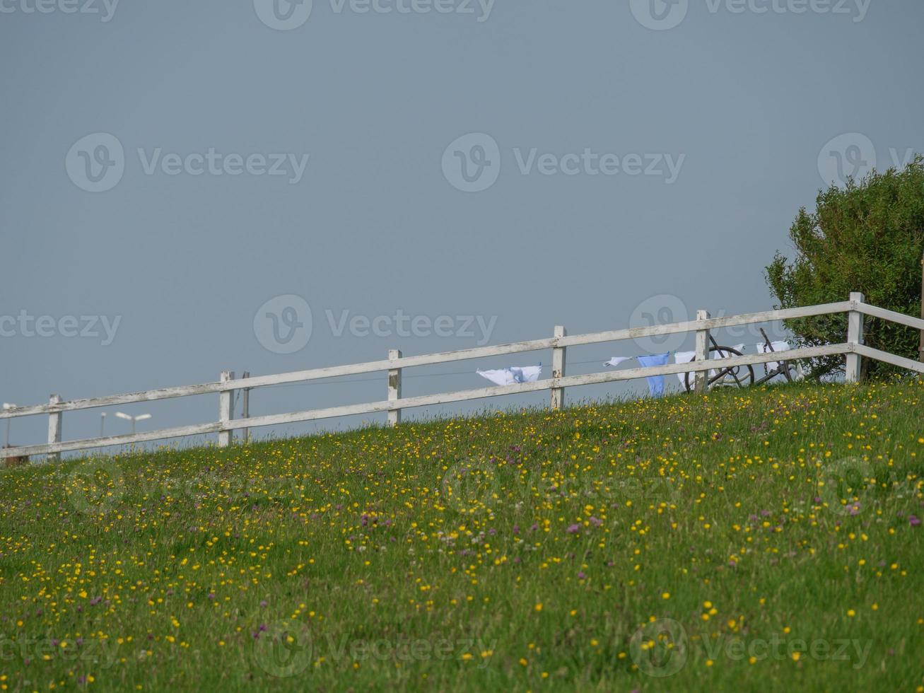 Hallig Hooge in the german north sea photo