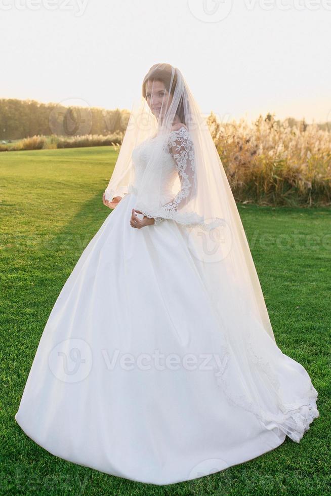 retrato de una bella y atractiva mujer caucásica novia con un vestido  blanco tradicional europeo de pie en el campo sobre el fondo de la  naturaleza 7755761 Foto de stock en Vecteezy