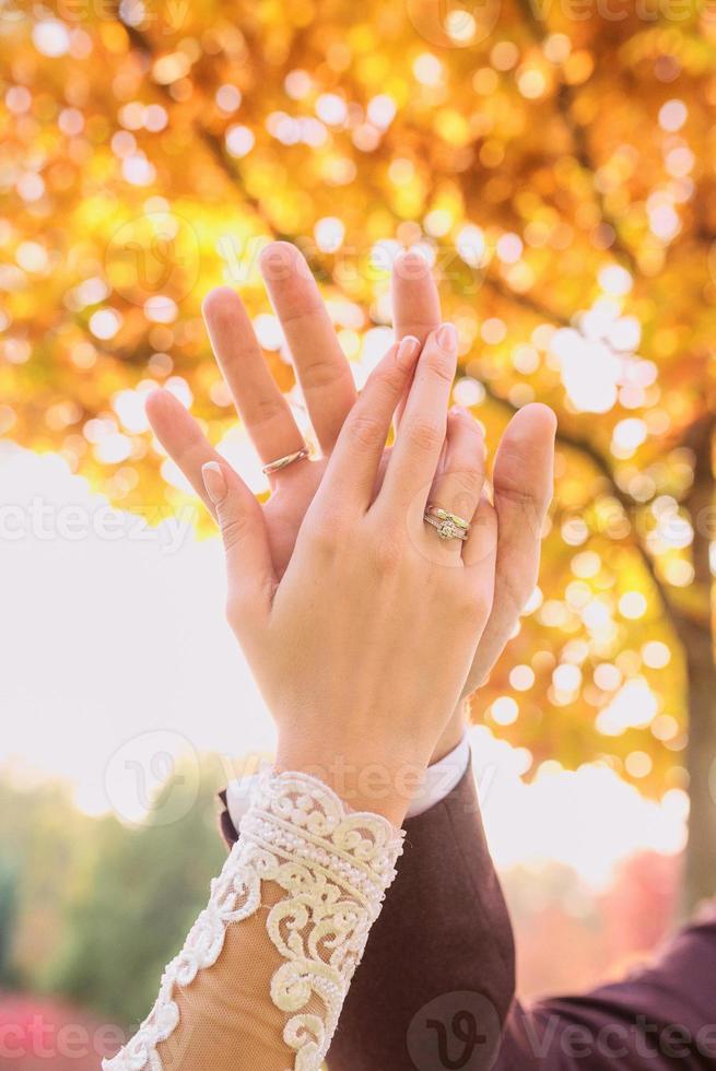 hands of wedding couple  in love. Relationship, love and tenderness concept photo