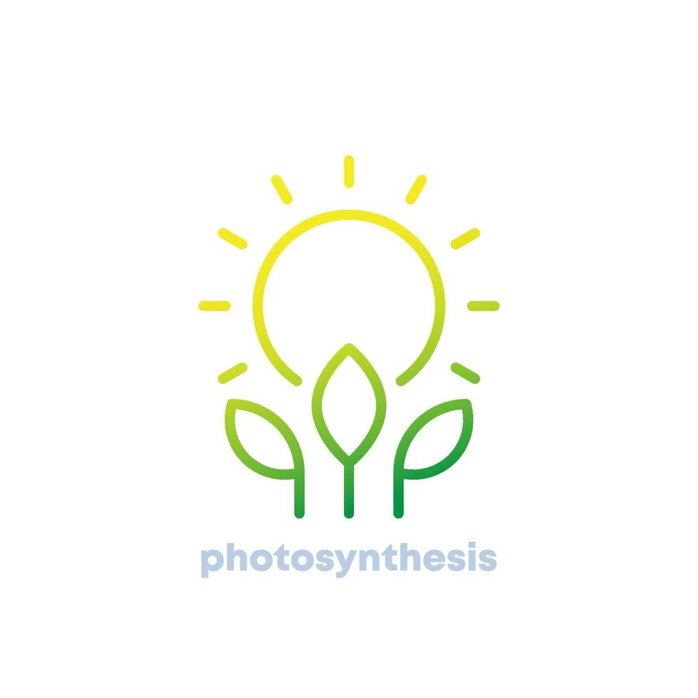 icono de la línea de fotosíntesis, sol y planta vector