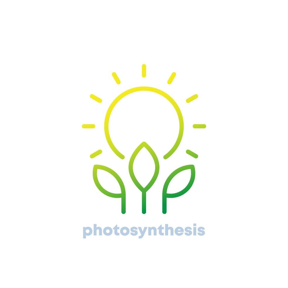photosynthesis line icon, sun and plant vector