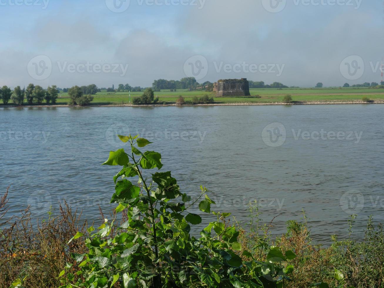 the rhine river in germany photo