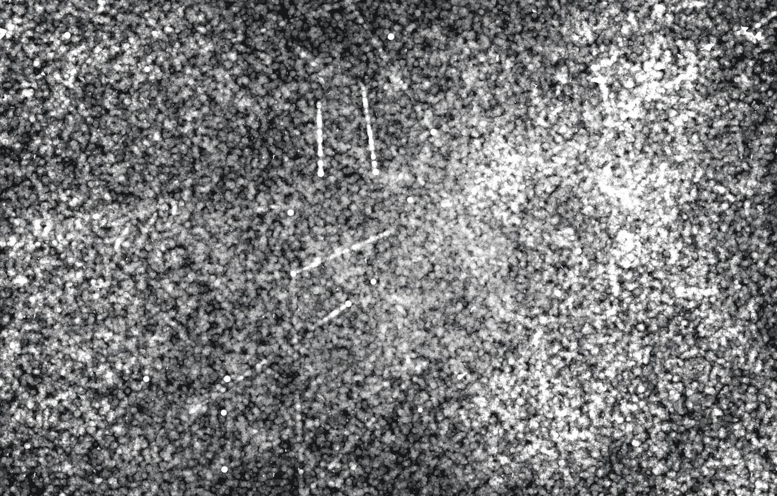 grunge texture.Grunge texture background.Grainy abstract texture on a white background.highly Detailed grunge background with space. photo