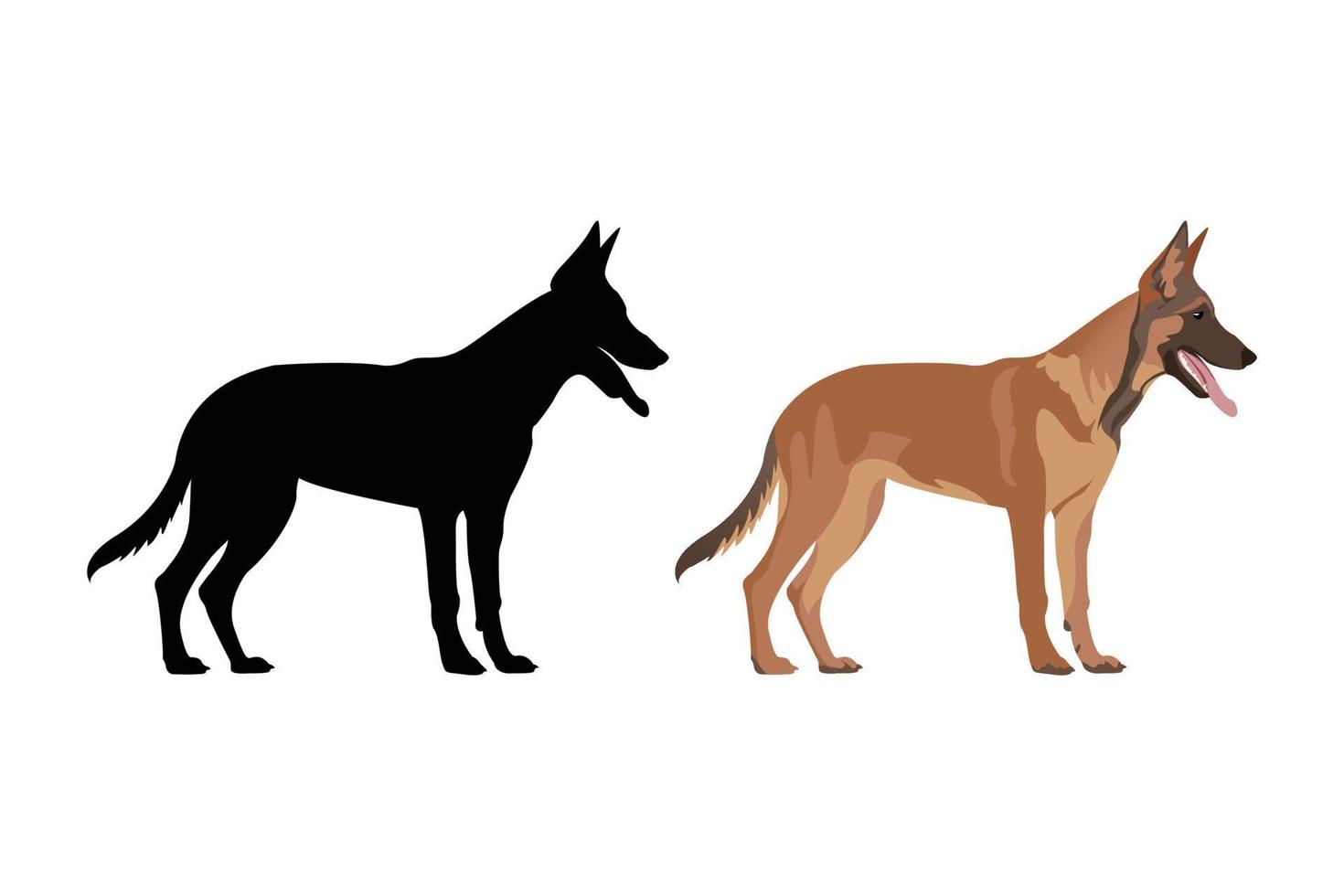 Belgian shepherd dog vector