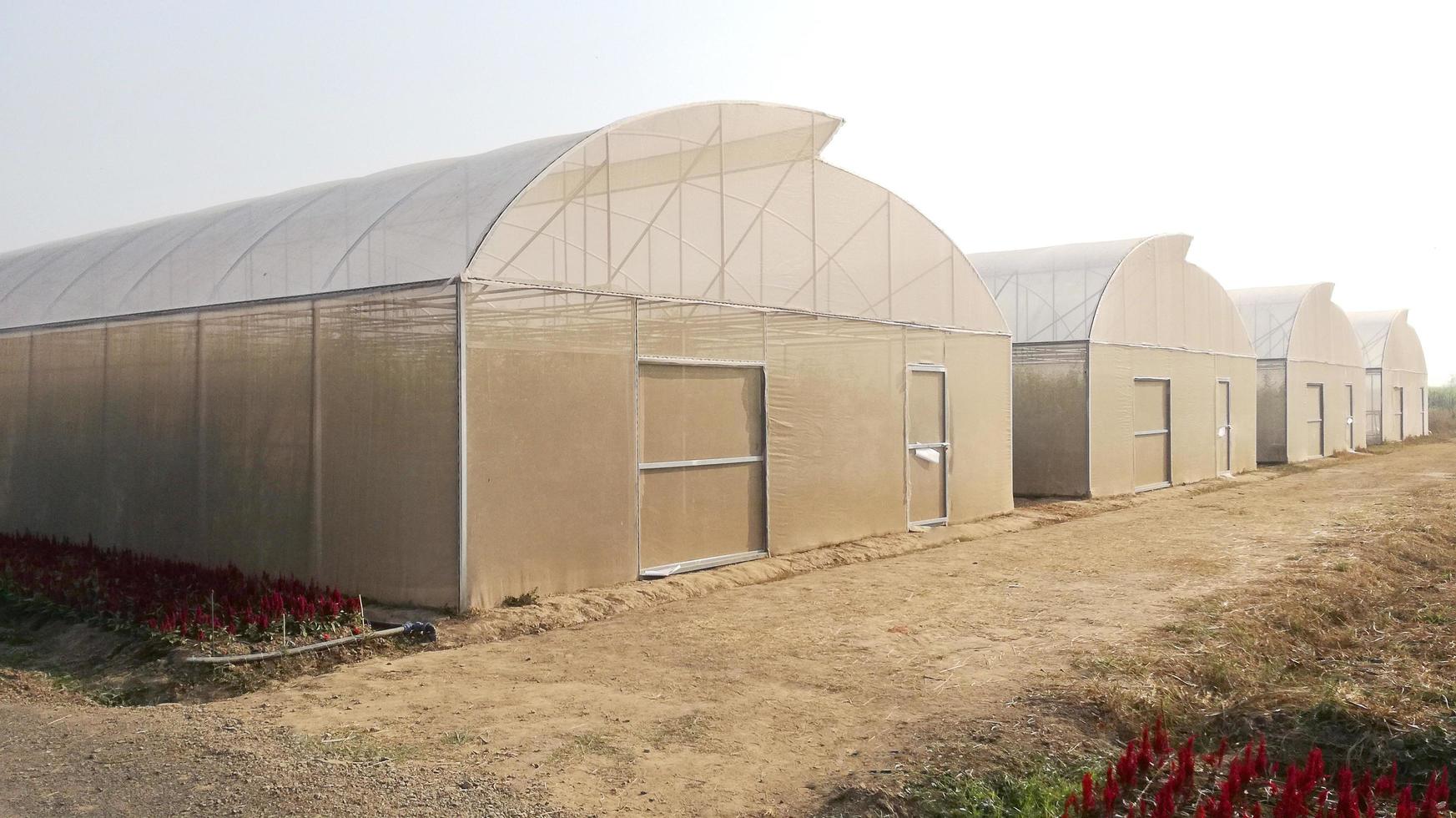 outdoor park for tourism with natural flower garden. photo