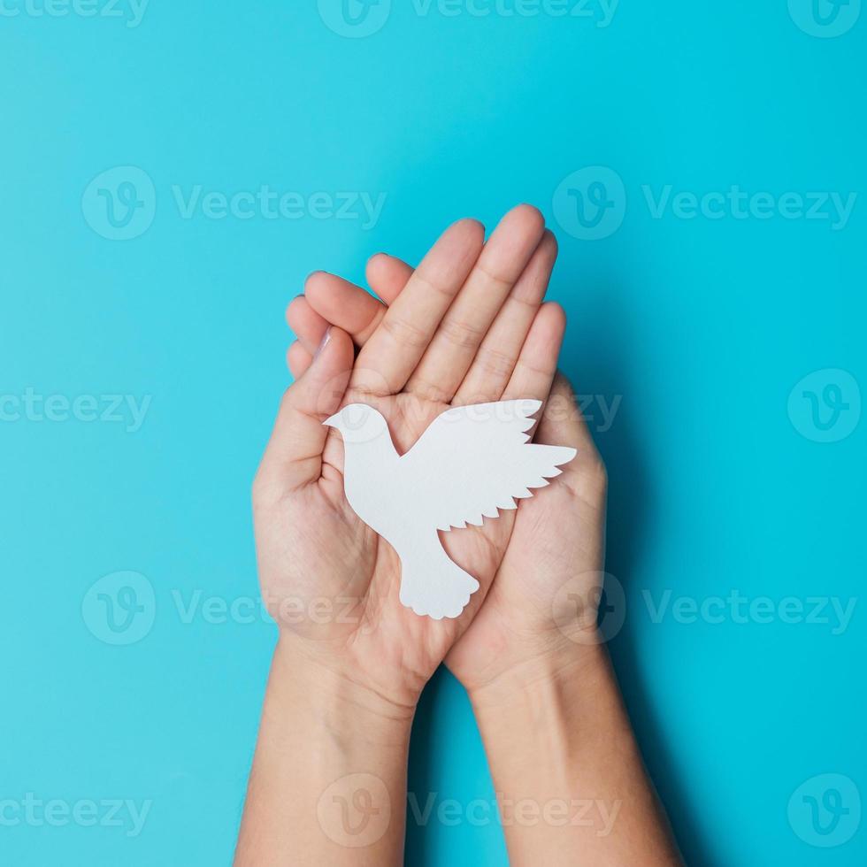 Dia Internacional de la Paz. manos sosteniendo pájaro paloma de papel blanco sobre fondo azul. libertad, esperanza y día mundial de la paz 21 de septiembre conceptos. foto