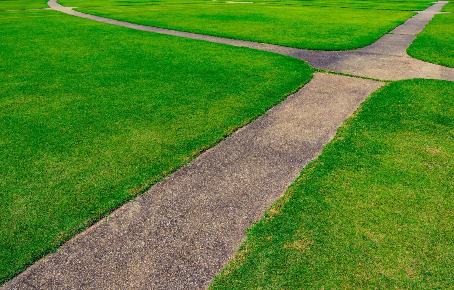 Green grass field with line pattern texture background and walkway photo