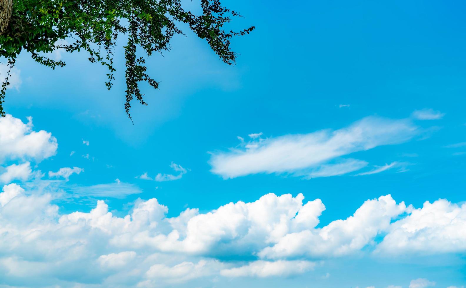 Beautiful blue sky and white cumulus clouds abstract background. Cloudscape background. Blue sky and white clouds on sunny day. Nature weather. Bright day sky for happy day background. Branch of tree photo