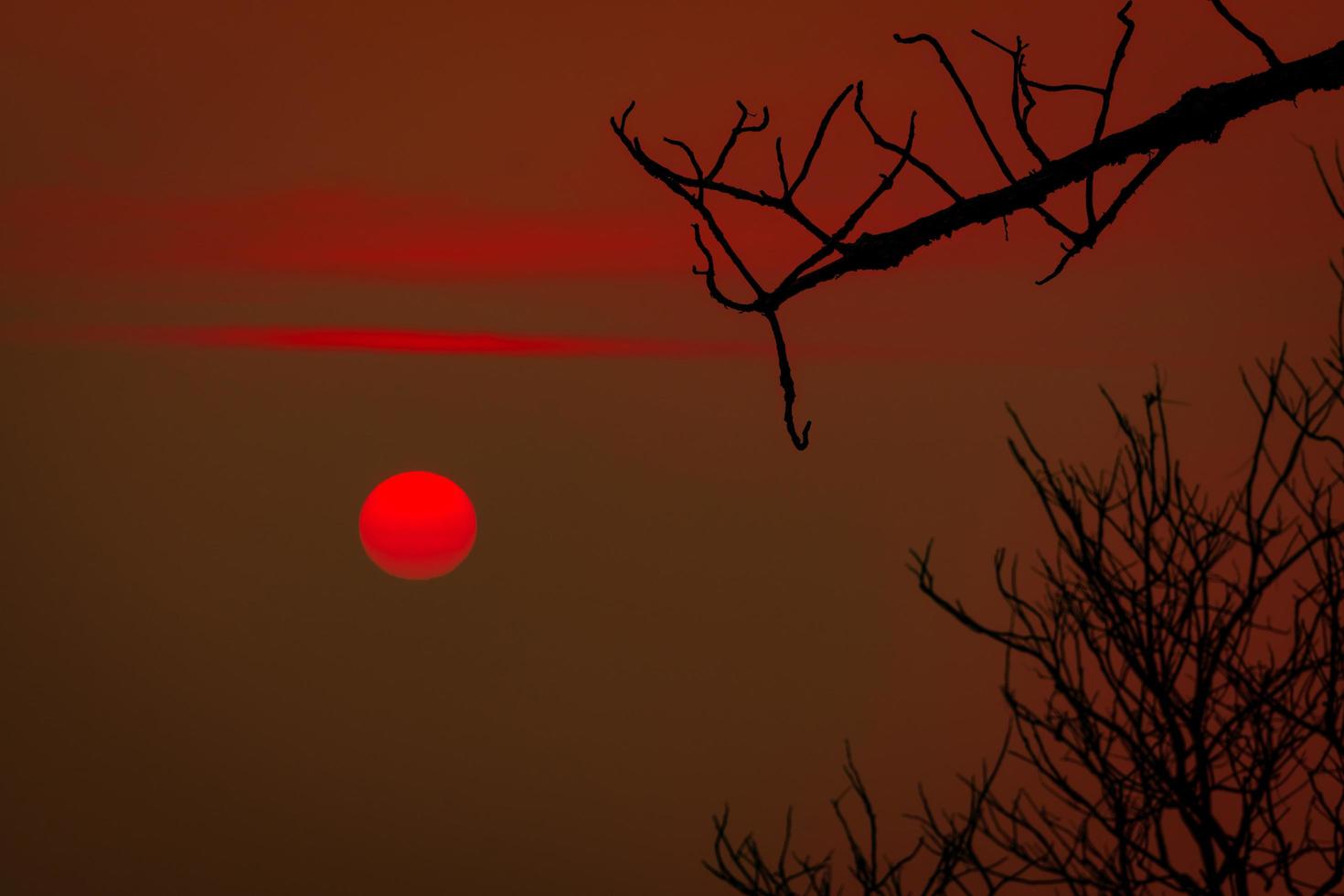 Beautiful silhouette leafless tree and red sunset sky. Romantic and peaceful scene of sun, and red sky at sunset time with beauty pattern of branch. Fall season with tranquil nature. Beauty in nature. photo