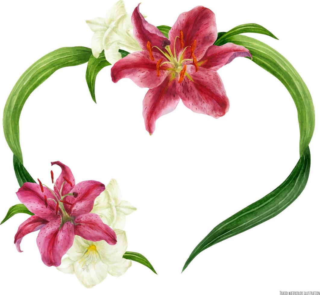 Tropical heart wreath with stargazer lily and white freesia, traced watercolor vector
