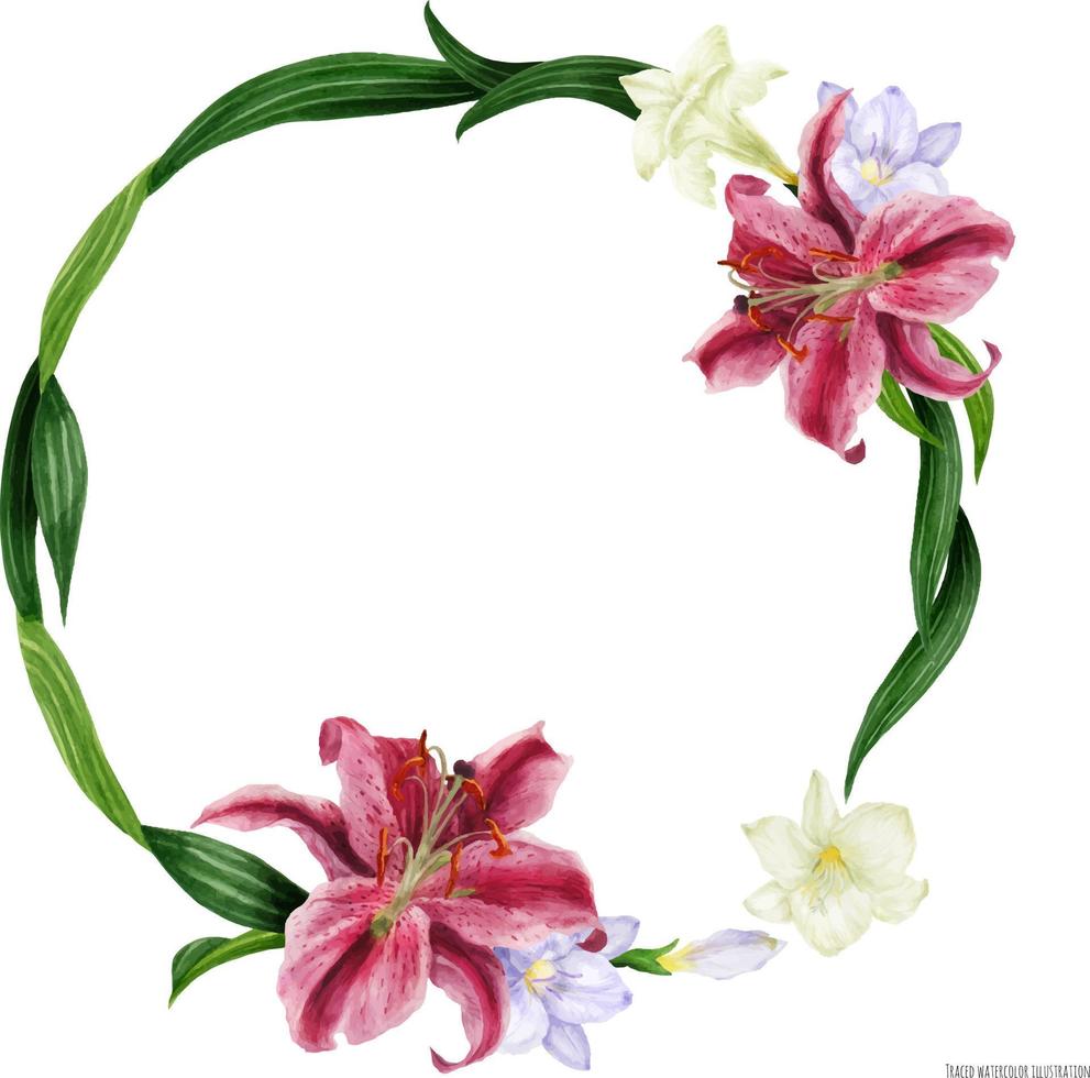 Tropical round wreath with stargazer lily and white freesia, traced watercolor vector