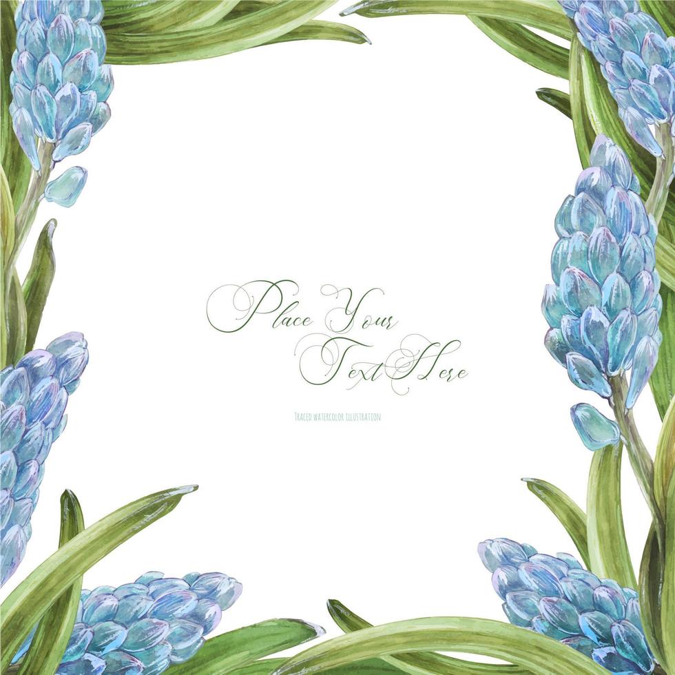 Hyachinth square floral frame on a white background, traced vector