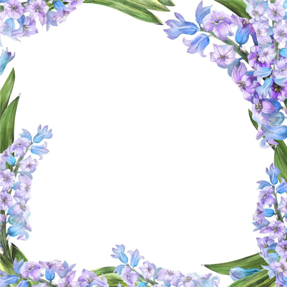 Hyachinth watercolor spring floral frame on a white background, traced vector