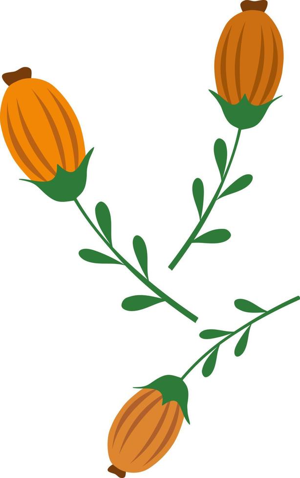 ilustración de flores abstractas sobre un fondo blanco. flores estilizadas vectoriales en estilo de dibujos animados.ilustración vectorial para saludos, bodas, diseño de flores. vector