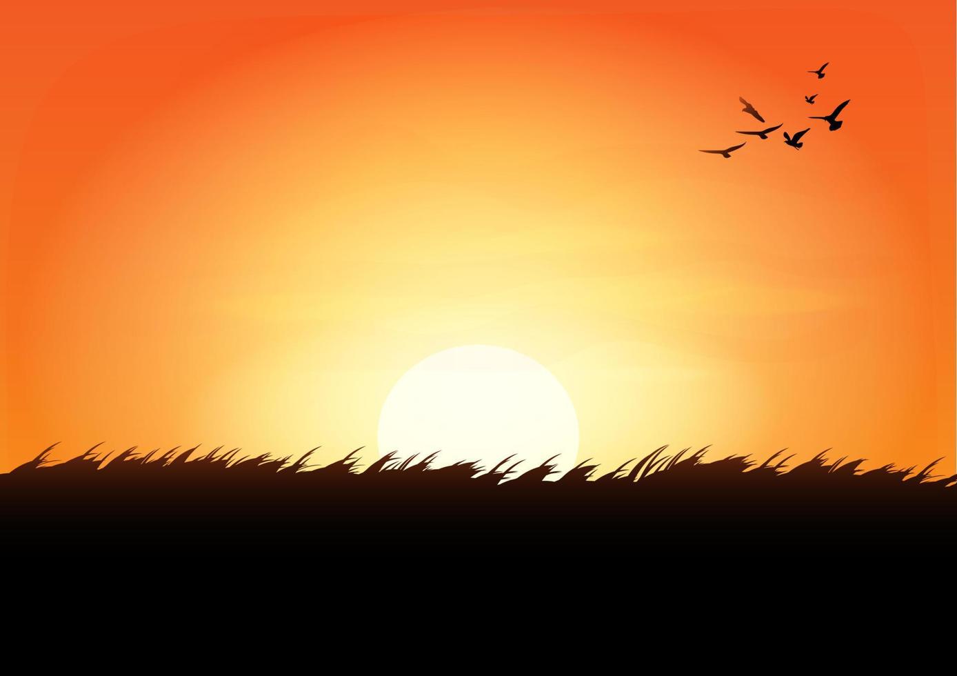 graphics drawing landscape view outdoor of sunset with grass on the ground for wallpaper background vector illustration