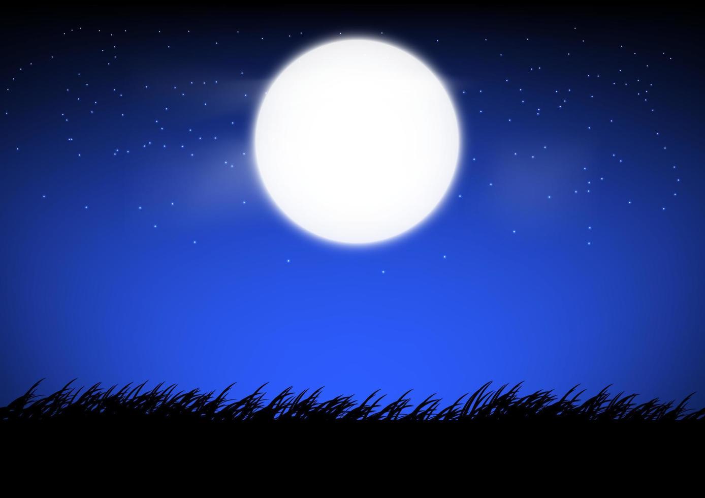 diseño gráfico la luna y la estrella del cielo con vista al paisaje al aire libre de hierba en la ilustración de vector de tiempo de noche