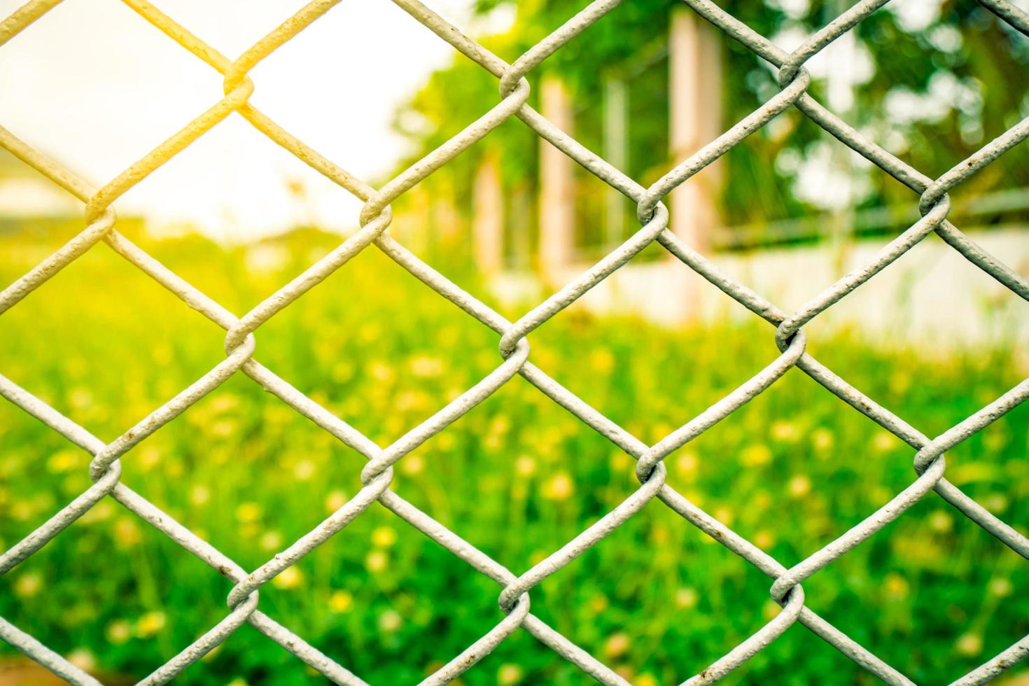 The fence mesh netting on blurred yellow flower field as the background with flare light photo