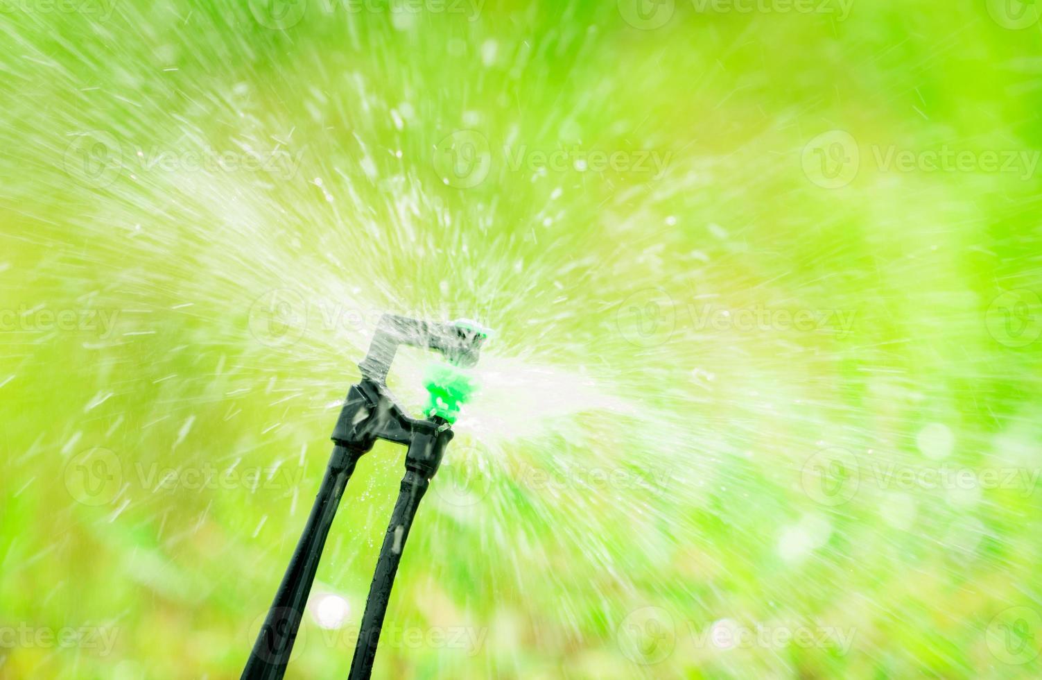 Closeup sprinkler watering grass on blur green background. Sprinkler with automatic system. Garden irrigation system watering lawn. Sprinkler maintenance service. Home service irrigation sprinkler. photo