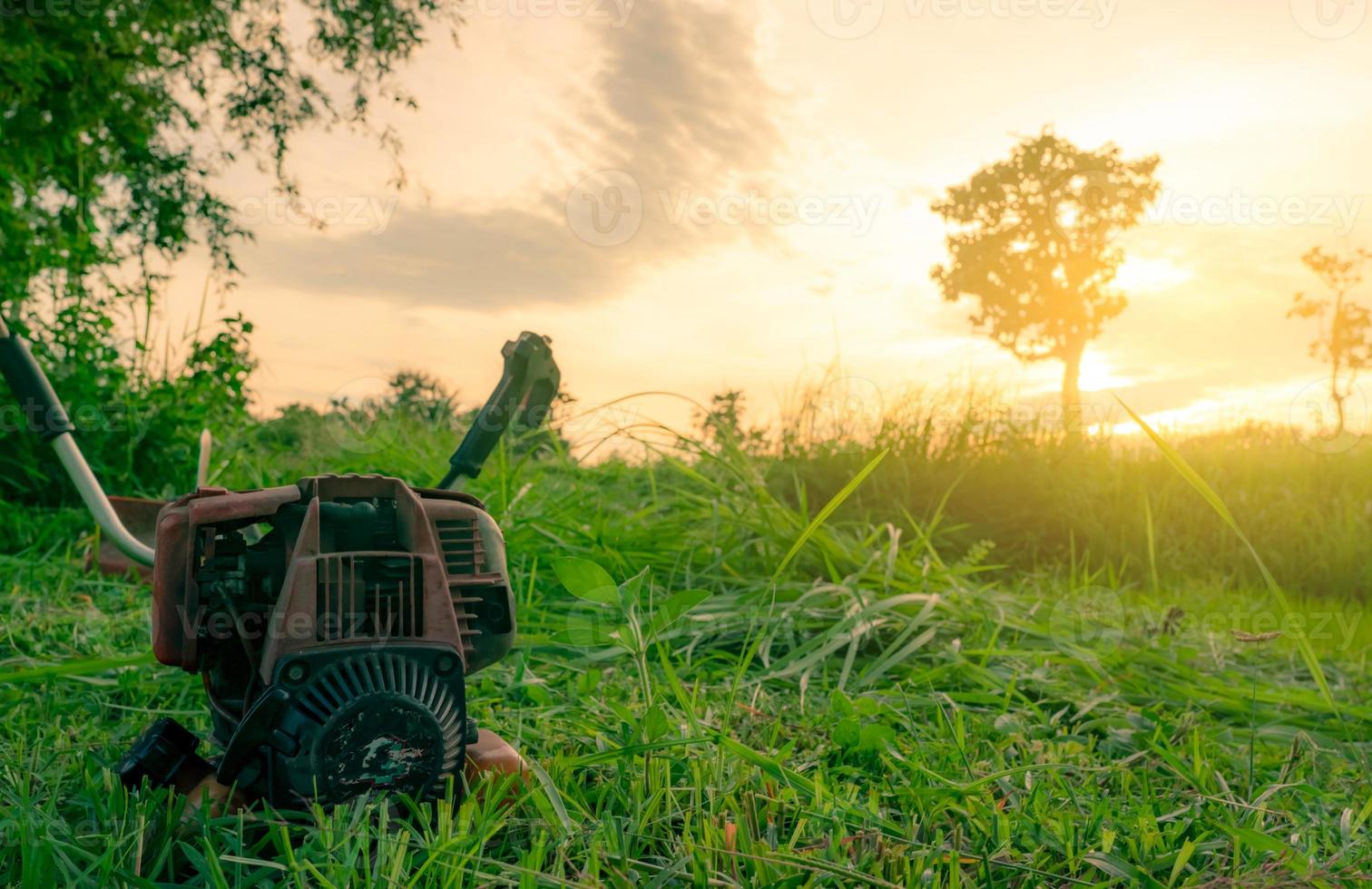 Máquina cortadora de césped tipo hombro. motor de cortacésped. siega de hierba y hierba con cortacésped de gasolina por la mañana con el cielo del amanecer en la granja de arroz. cortando pasto verde para alimentar al ganado en tailandia. foto