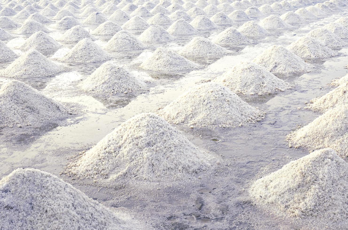 granja de salmuera en samut sakhon, tailandia. sal marina orgánica. evaporación y cristalización del agua de mar. materia prima de sal industrial. cloruro de sodio. sistema de evaporación solar. fuente de yodo foto