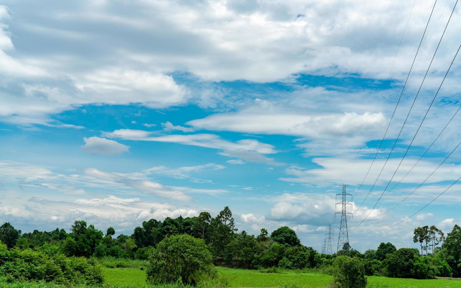 High voltage electric pylon and electrical wire with blue sky and white clouds. Tall electricity pole. Power and energy concept. High voltage grid tower with wire cable in green forest and tree. photo