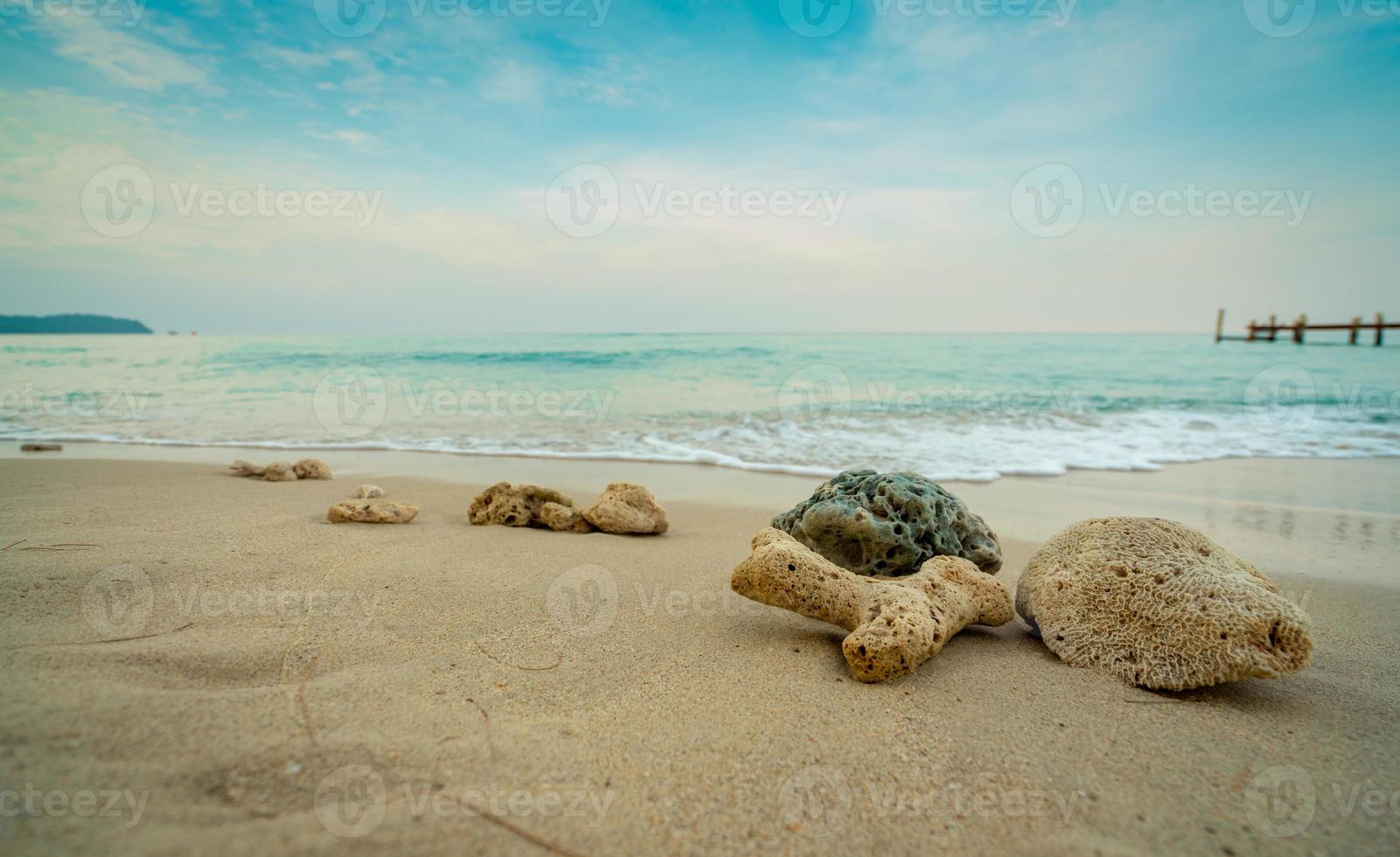Corals on sand beach by the sea with blue sky and white clouds. Summer vacation on tropical paradise beach concept. Ripple of water splash on sandy beach. Summer vibes. Coral that were washed ashore. photo