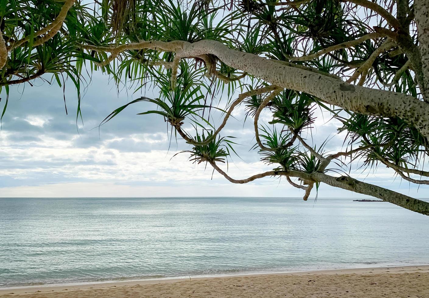 playa de arena en la mañana con cielo gris. vista desde debajo del árbol. playa tropical, fondo de vacaciones de verano. escena tranquila. arena, mar y cielo. viajes de verano entorno de playa. playa de arena limpia. foto