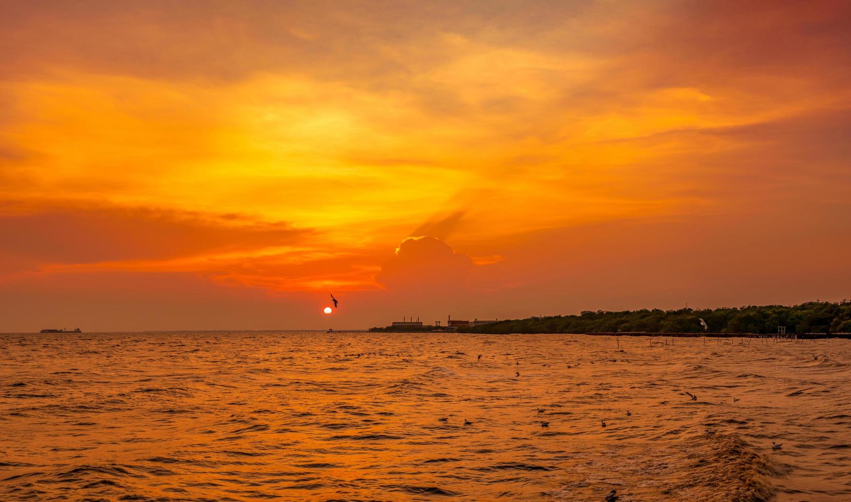 hermoso cielo al atardecer y nubes sobre el mar. pájaro volando cerca del bosque de manglares de abundancia. ecosistema de manglares. buen ambiente. paisaje de la orilla del mar o costa. cielo escénico del atardecer en tailandia. foto