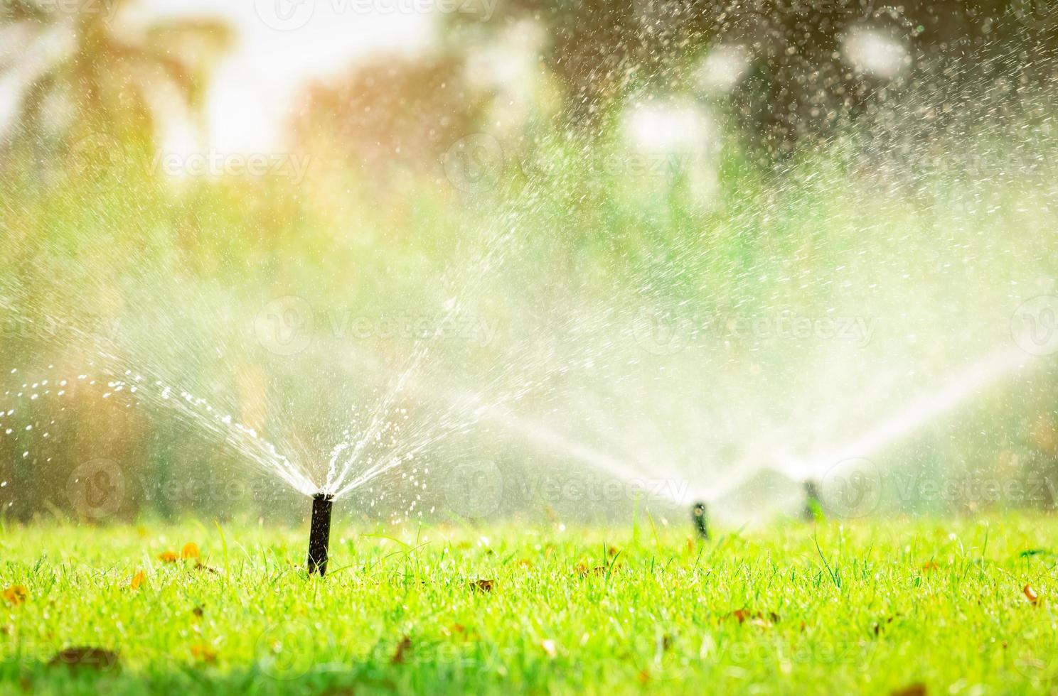 Automatic lawn sprinkler watering green grass. Sprinkler with automatic system. Garden irrigation system watering lawn. Sprinkler system maintenance service. Home service irrigation sprinkler. photo