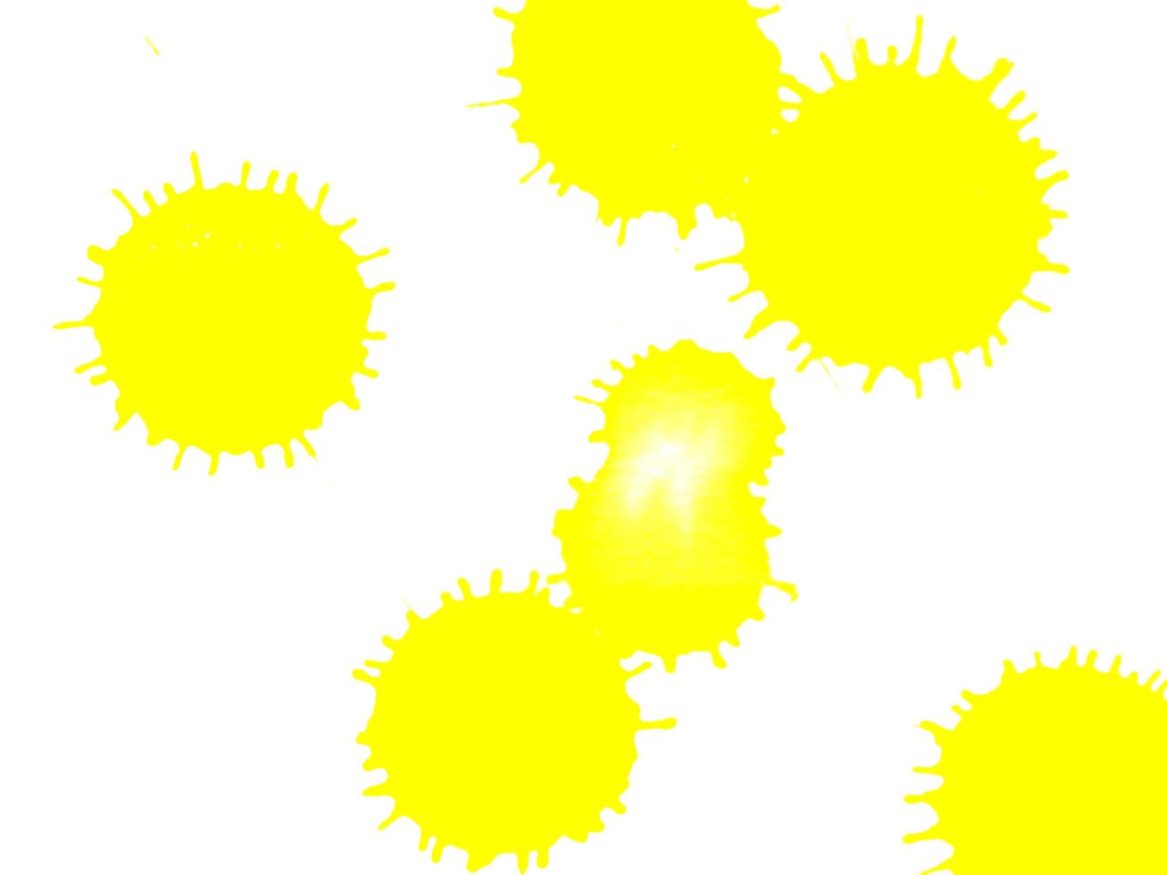 dot yellow color watercolor Paint splashes on white paper background photo