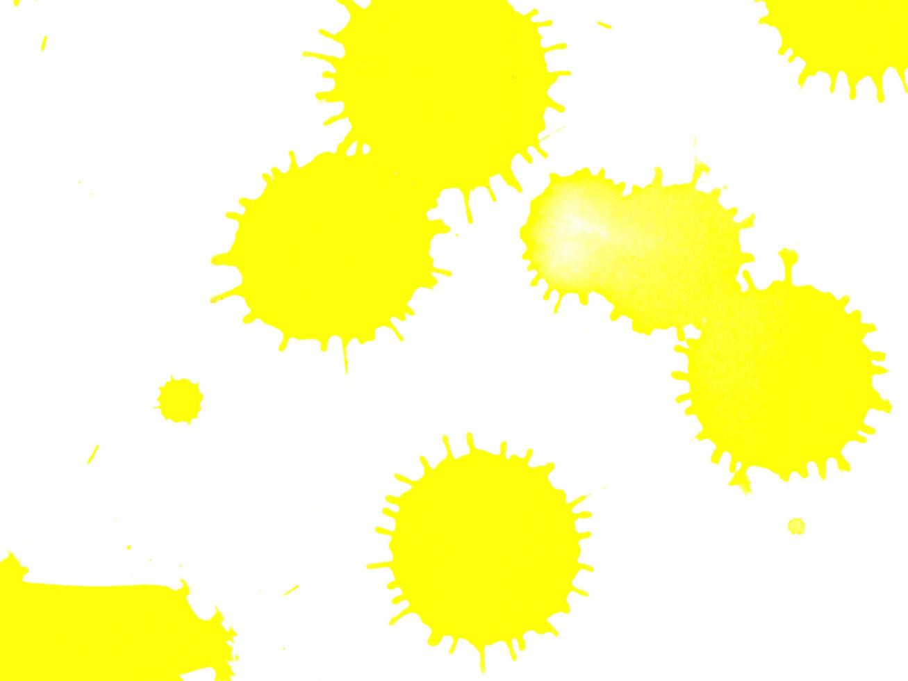 dot yellow color watercolor Paint splashes on white paper background photo