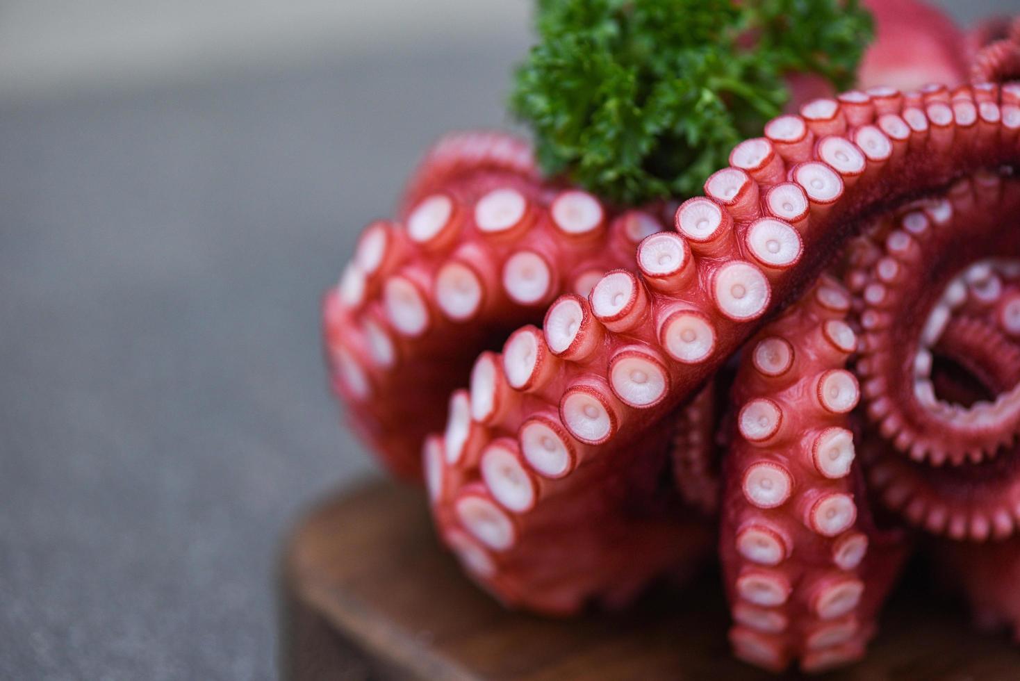 Boiled octopus tentacles on wooden cutting board, Octopus food cooked salad seafood squid cuttlefish dinner restaurant photo