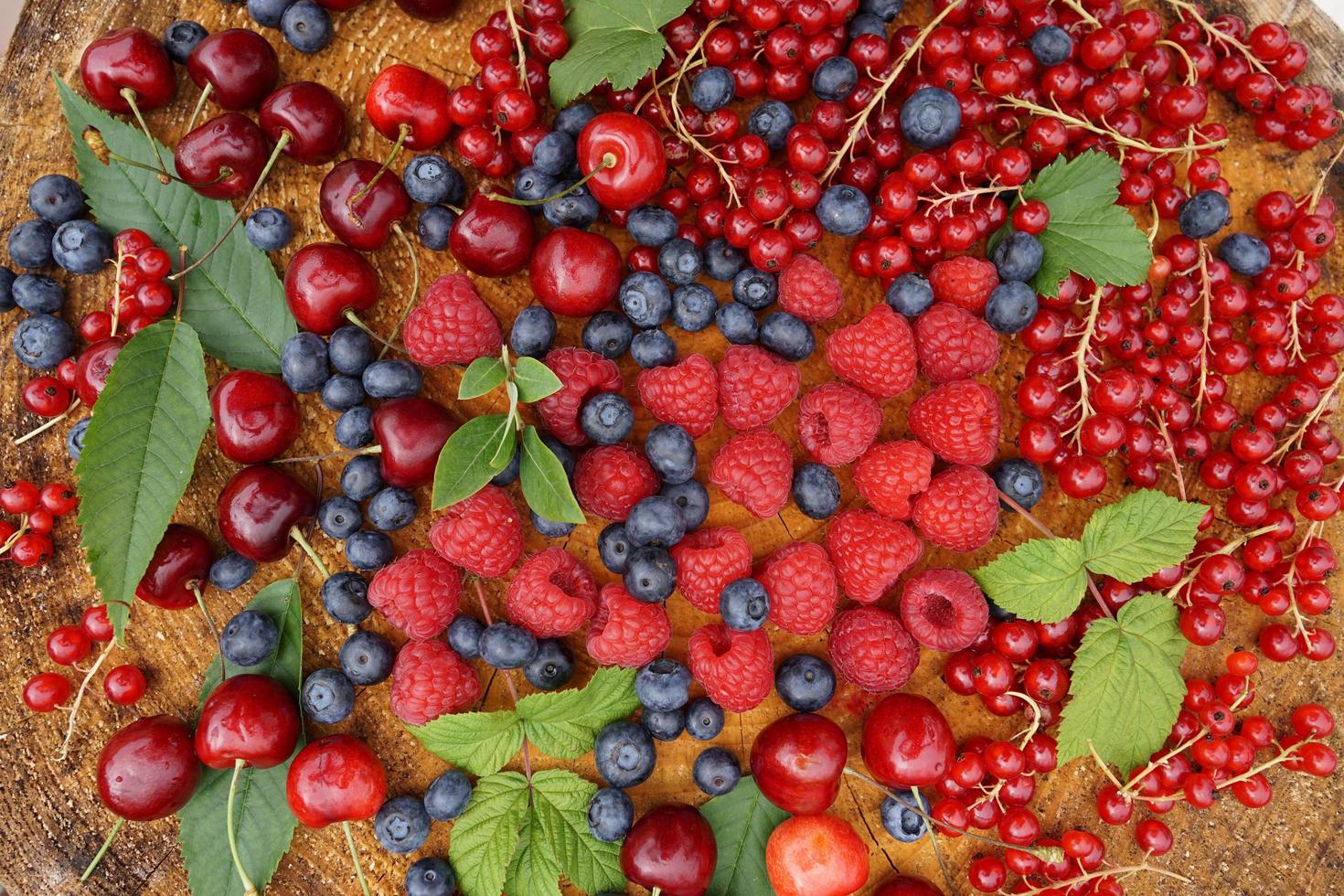 Blueberry, Raspberry, Cherry And Currant On The Wood Table In The Garden. photo