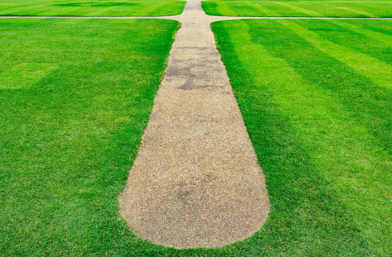 Green grass field with line pattern texture background and walkway photo