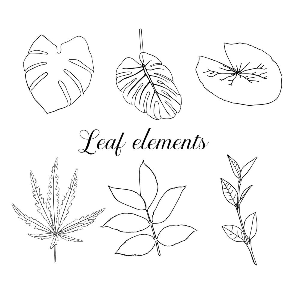 Marijuana leaf sketch set, palm, water lily, linden in doodle style. Black contours of leaves on a white background. Vector illustration.