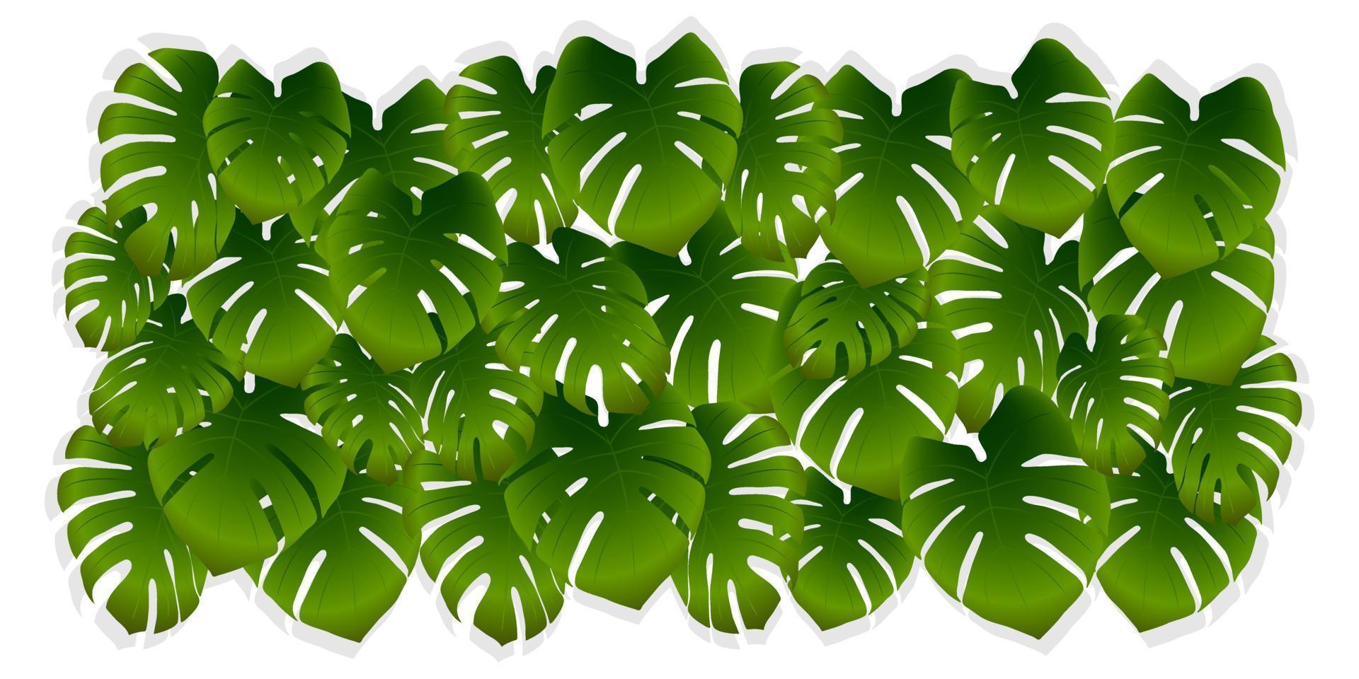 Tropical palm leaves on a white background. Green vector background from jungle or monstera leaves. Realistic illustration for banner, advertisement or wallpaper.